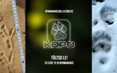 Állatnyomokat azonosít be a természetjáróknak készült applikáció