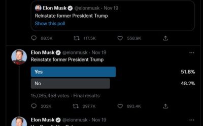 Elon Musk visszaengedte Trumpot a Twitterre