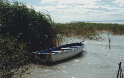 Drágább lesz pecázni a Balatonon