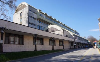 Kisfiúk lettek az ország és a főváros újévi babái