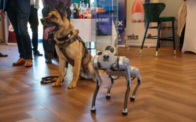 Bombakereső kutyával pózolt a robotkutya a hazai biztonsági konferencián