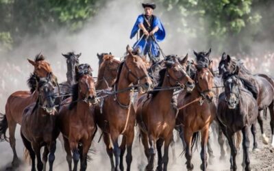 FöldŐrző fesztivált rendeznek Pécelen