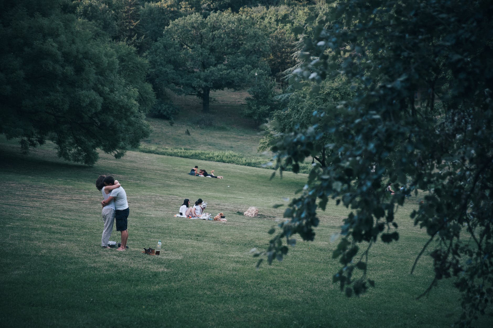 people sitting on the green grass field