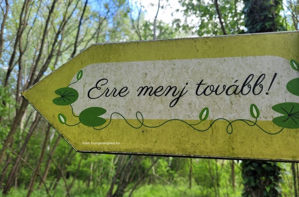 Négyezren kéktúráztak egyszerre, egy napon Magyarországon