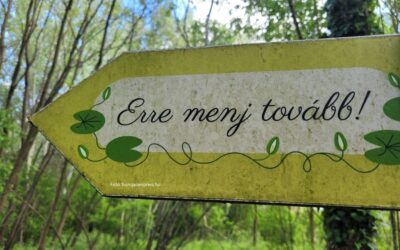 Négyezren kéktúráztak egyszerre, egy napon Magyarországon