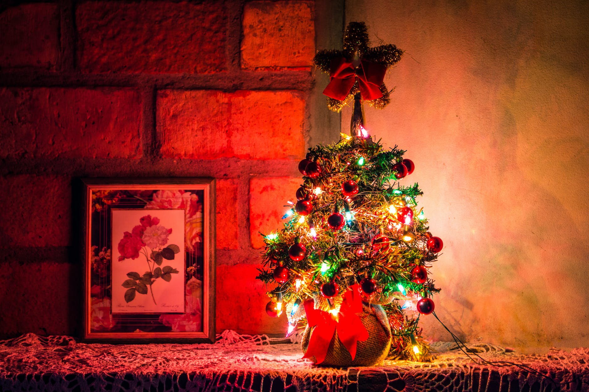 photo of lighted christmas tree