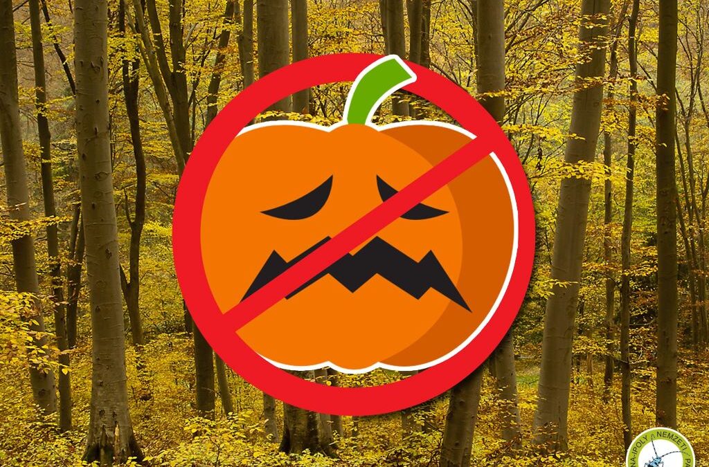 Elpusztulhatnak a vadak a kidobott Halloween-tököktől