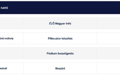 Ma Zalába érkezik Magyar Péter
